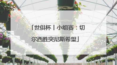 世俱杯丨小组赛：切尔西胜突尼斯希望