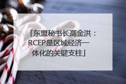 东盟秘书长高金洪：RCEP是区域经济一体化的关键支柱