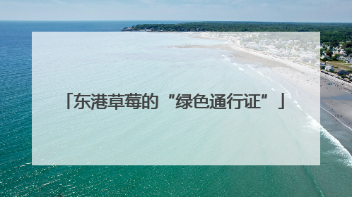 东港草莓的“绿色通行证”