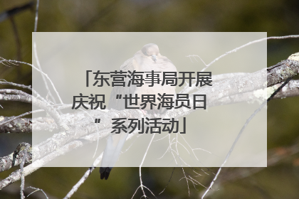 东营海事局开展庆祝“世界海员日”系列活动