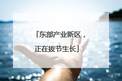 东部产业新区，正在拔节生长