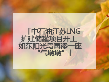 中石油江苏LNG扩建储罐项目开工 如东阳光岛再添一座“气墩墩”