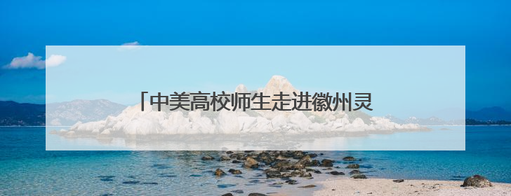 中美高校师生走进徽州灵山 感知中华文脉基底