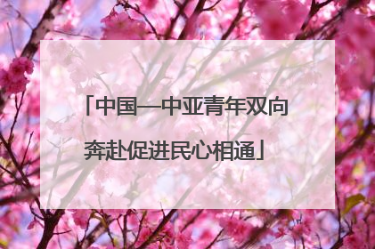 中国—中亚青年双向奔赴促进民心相通