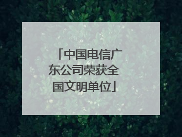 中国电信广东公司荣获全国文明单位