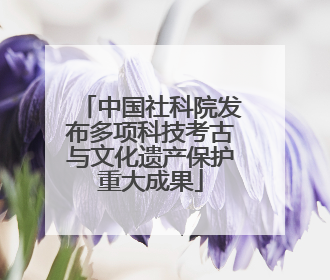 中国社科院发布多项科技考古与文化遗产保护重大成果
