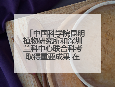 中国科学院昆明植物研究所和深圳兰科中心联合科考取得重要成果 在神农架发现两种“国保”级兰花