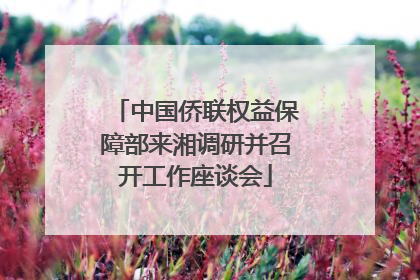 中国侨联权益保障部来湘调研并召开工作座谈会