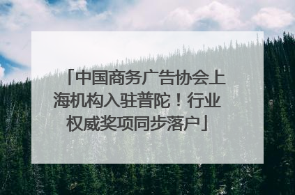 中国商务广告协会上海机构入驻普陀！行业权威奖项同步落户