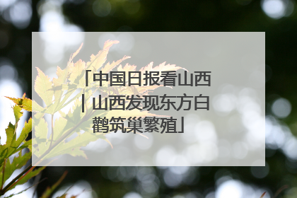 中国日报看山西｜山西发现东方白鹳筑巢繁殖