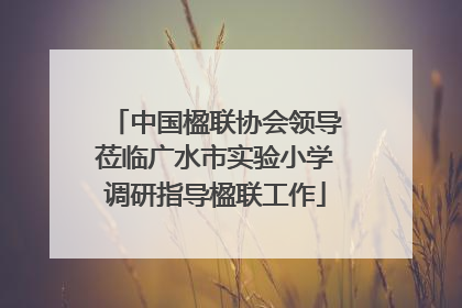 中国楹联协会领导莅临广水市实验小学调研指导楹联工作