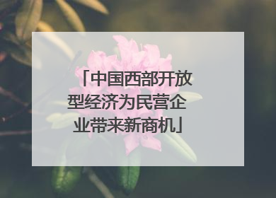 中国西部开放型经济为民营企业带来新商机