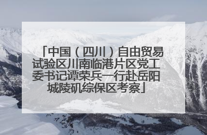 中国（四川）自由贸易试验区川南临港片区党工委书记谭荣兵一行赴岳阳城陵矶综保区考察