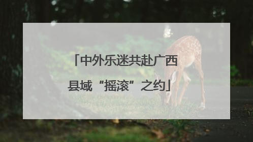 中外乐迷共赴广西县域“摇滚”之约