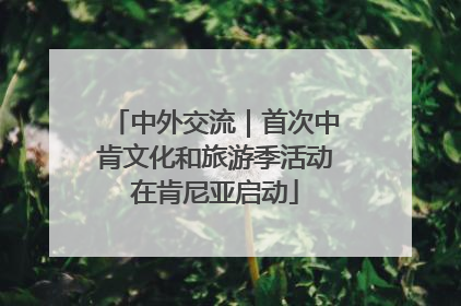 中外交流｜首次中肯文化和旅游季活动在肯尼亚启动