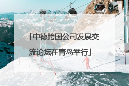 中德跨国公司发展交流论坛在青岛举行