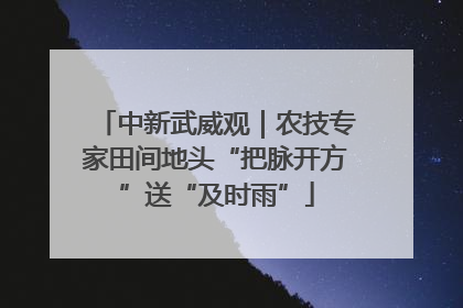 中新武威观｜农技专家田间地头“把脉开方”送“及时雨”