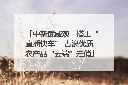 中新武威观｜搭上“直播快车” 古浪优质农产品“云端”走俏