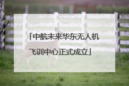 中航未来华东无人机飞训中心正式成立