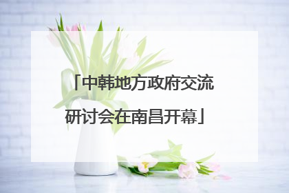 中韩地方政府交流研讨会在南昌开幕
