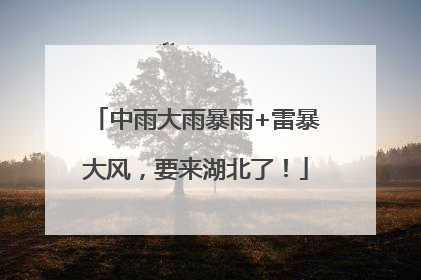 中雨大雨暴雨+雷暴大风，要来湖北了！
