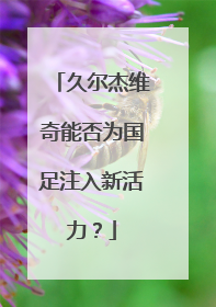 久尔杰维奇能否为国足注入新活力？