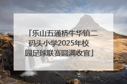 乐山五通桥牛华镇二码头小学2025年校园足球联赛圆满收官