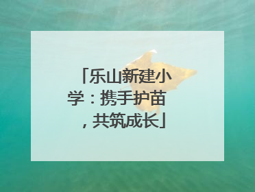 乐山新建小学：携手护苗，共筑成长