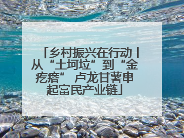 乡村振兴在行动丨从“土坷垃”到“金疙瘩” 卢龙甘薯串起富民产业链