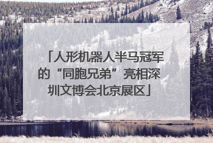 人形机器人半马冠军的“同胞兄弟”亮相深圳文博会北京展区