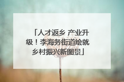 人才返乡 产业升级！李海务街道绘就乡村振兴新图景