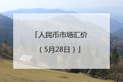 人民币市场汇价（5月28日）