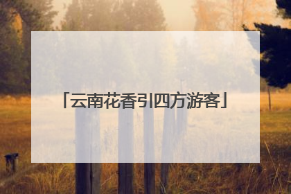 云南花香引四方游客