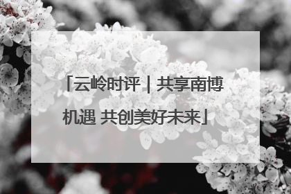 云岭时评｜共享南博机遇 共创美好未来