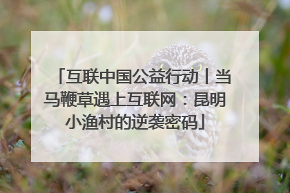 互联中国公益行动丨当马鞭草遇上互联网：昆明小渔村的逆袭密码