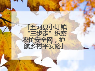 五河县小圩镇“三步走”织密农忙安全网，护航乡村平安路