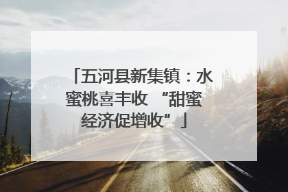 五河县新集镇：水蜜桃喜丰收 “甜蜜经济促增收”