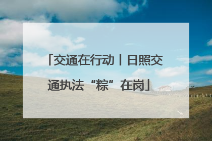 交通在行动丨日照交通执法“粽”在岗