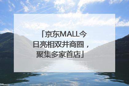 京东MALL今日亮相双井商圈，聚集多家首店