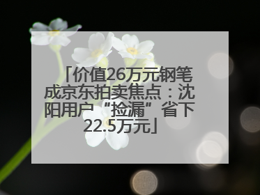 价值26万元钢笔成京东拍卖焦点：沈阳用户“捡漏”省下22.5万元