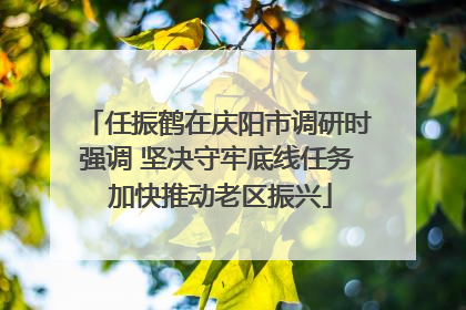 任振鹤在庆阳市调研时强调 坚决守牢底线任务 加快推动老区振兴