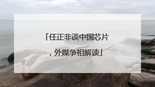 任正非谈中国芯片，外媒争相解读