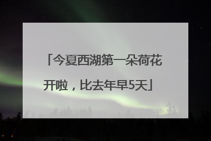 今夏西湖第一朵荷花开啦，比去年早5天