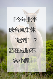 今年北半球台风集体“迟到”？潜在威胁不容小觑