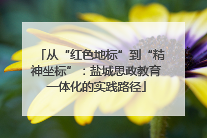 从“红色地标”到“精神坐标”：盐城思政教育一体化的实践路径