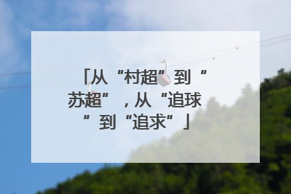 从“村超”到“苏超”，从“追球”到“追求”