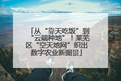从“靠天吃饭”到“云端种地”！莱芜区“空天地网”织出数字农业新图景