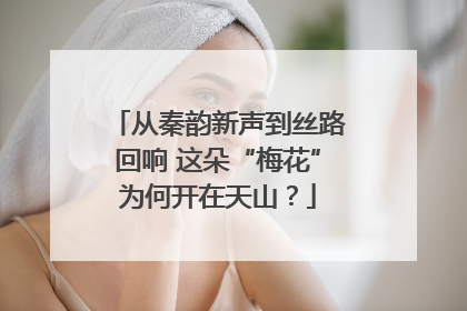 从秦韵新声到丝路回响 这朵“梅花”为何开在天山？