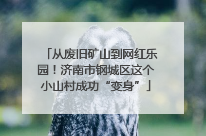 从废旧矿山到网红乐园！济南市钢城区这个小山村成功“变身”