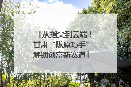 从指尖到云端！甘肃“陇原巧手”解锁创富新赛道